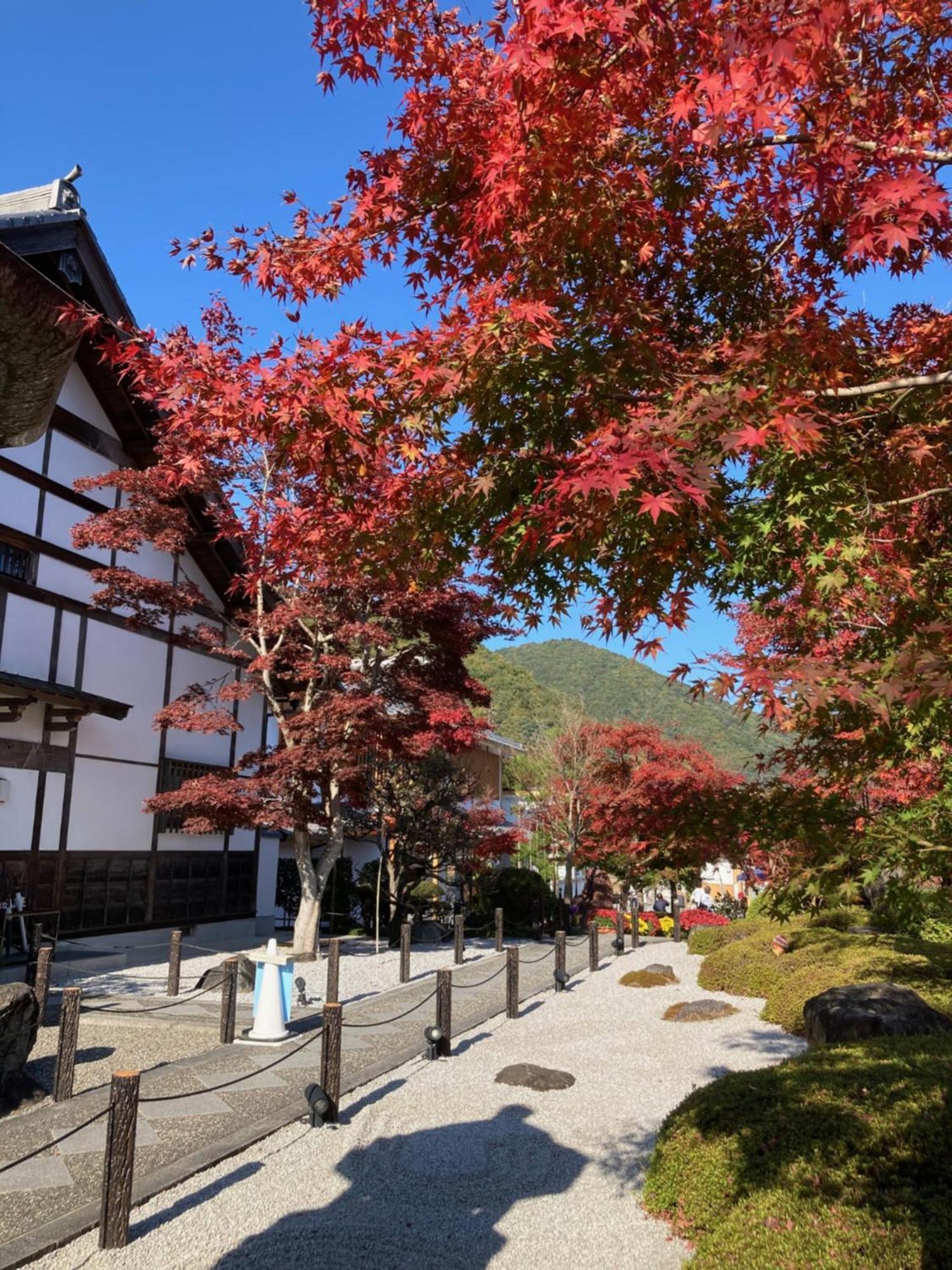 Sky Tree Inn Ⅱ（晴樹宿ⅱ） Tōkyō Extérieur photo