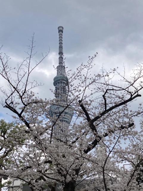 Sky Tree Inn Ⅱ（晴樹宿ⅱ） Tōkyō Extérieur photo
